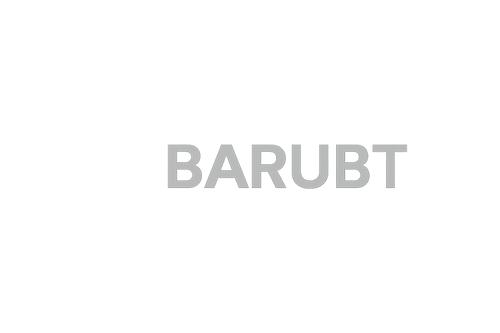 BARUBT - LOGO name, make it nice too look at, modern, make it match the website colors 